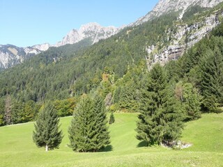 Brazer Böden