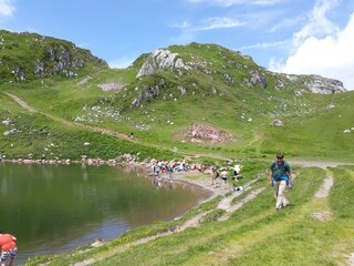 Wandern auf Wiesen und Almen