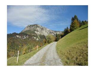 Stehbockweg 05.10.17 008