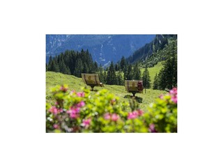 SO_Ruheliegen_am_Stebok_Wäg_(c)_Alex_Kaiser_-_Klos