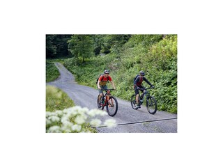 Mountainbiken am Sonnenkopf (c) Alex Kaiser - Alpe