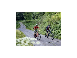 Mountainbiken am Sonnenkopf (c) Alex Kaiser - Alpe