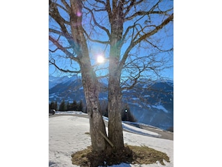 Klostertal
