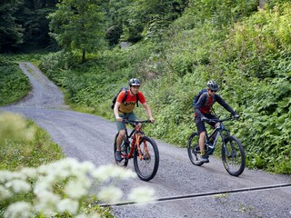 Mountainbiken_am_Sonnenkopf_(c)_Alex_Kaiser_-_Alpe
