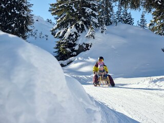 28_Rodeln am Sonnenkopf