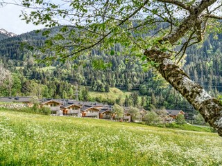 Außenbilder Sommer
