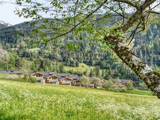 Außenbilder Sommer