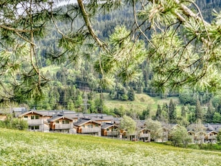 Außenbilder Sommer