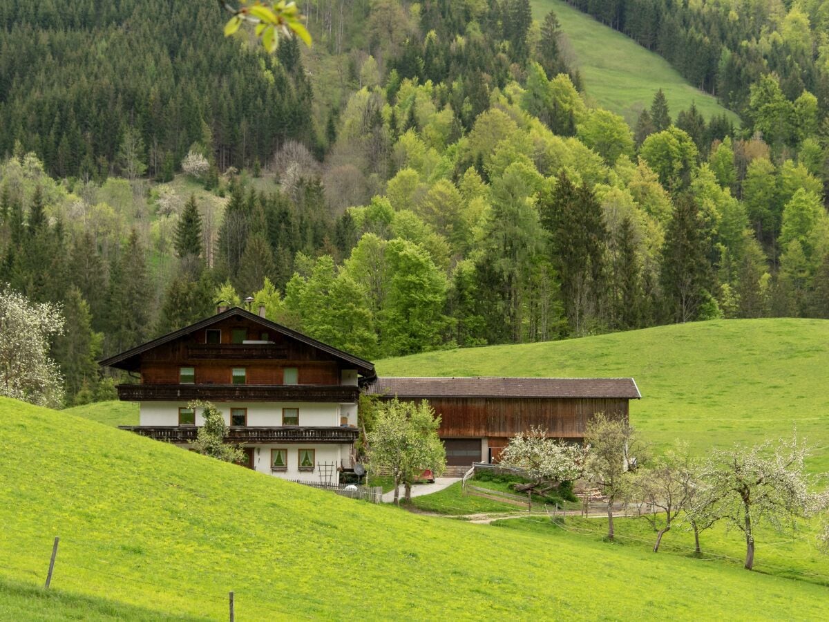 Hausaufnahme Frühjahr 2019