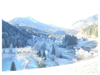 DSCN1239