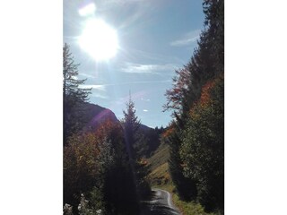 IMG_20171005_161416