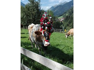 IMG_20160903_123643