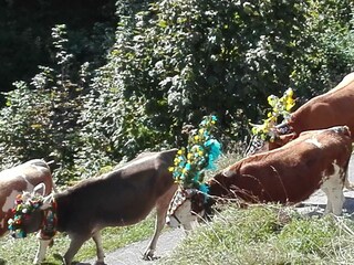 IMG_20160924_112835