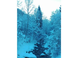 IMG_20170121_150057