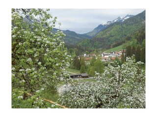 Biobauernhof Hecherhof Thiersee - Sicht Balkon