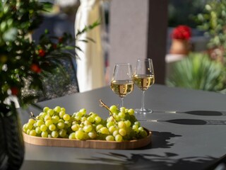 Villa Pula Außenaufnahme 6