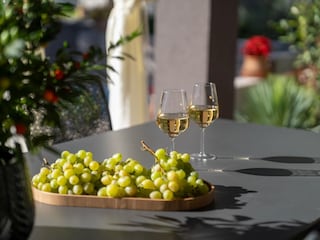 Villa Pula Outdoor Recording 6