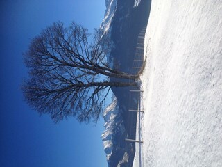 Winterlandschaft in der unmittelbaren Nähe