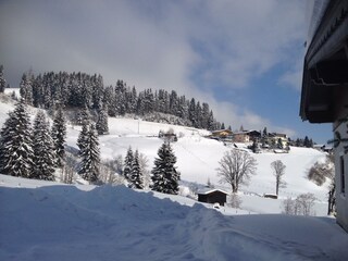 Haus im Winter