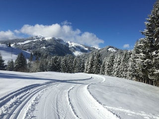 Hochmoorloipe