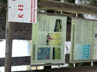 Wasenmoos am Hochmoorweg