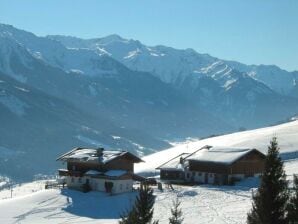 Apartment Appartement Lemberger - Biohof Stallfeld - Hollersbach im Pinzgau - image1