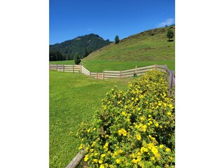 IMG_20230802_140459