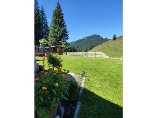 IMG_20230802_140541