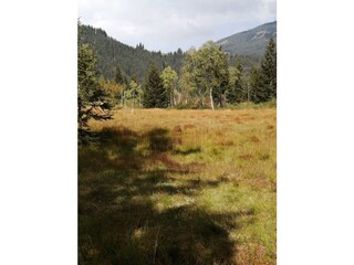 IMG_20200921_134655