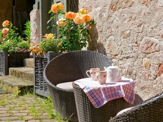 Appartamento per vacanze Riquewihr Registrazione all'aperto 3