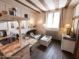 Appartamento per vacanze Riquewihr Caratteristiche 5