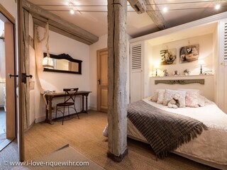 Appartamento per vacanze Riquewihr Caratteristiche 11