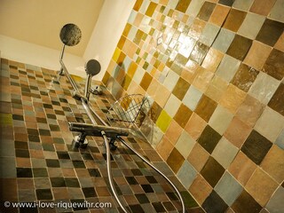 Appartamento per vacanze Riquewihr Caratteristiche 15