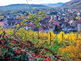 Appartamento per vacanze Riquewihr Ambiente 17