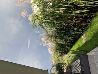 Gartenblick
