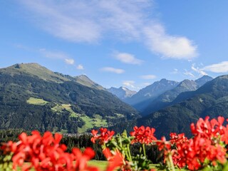 Panoramblick