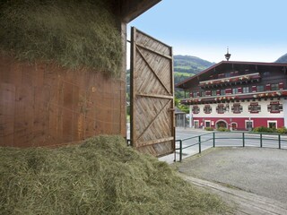 Hausfoto Landwirtschaft