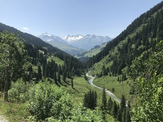 NP