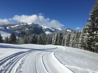 Hochmoorloipe