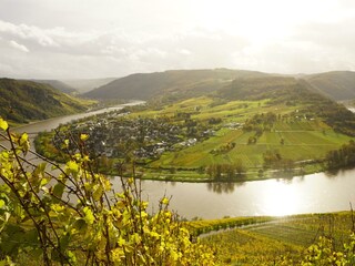 _DSC6509