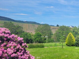 Bechtel Garten