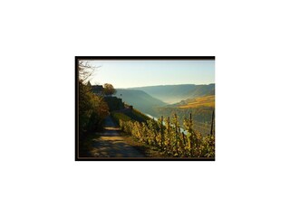 Mosel-Marienb Herbst - Kopie