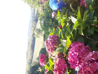 Bild 8 Blick