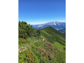 Blick- Wanderung Gumpeneck