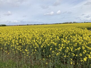 Ferienwohnung Westerbur Umgebung 10