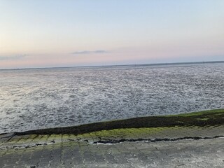 Ferienwohnung Westerbur Umgebung 11