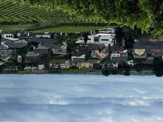 Blick über Deidesheim West