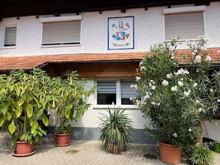 Erdgeschoss Wohnung mit Blick in den Hof