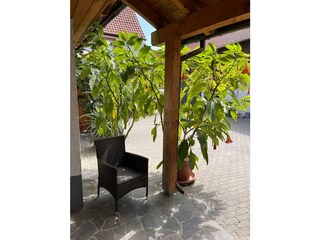 Sitzmöglichkeit Hof