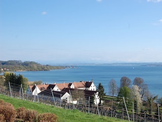 Ferienwohnung Meersburg Umgebung 22